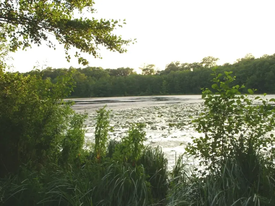 Schweriner See (Germany)