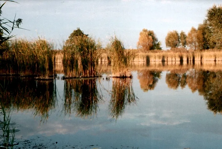 Lacul Vaja — Carei (România)