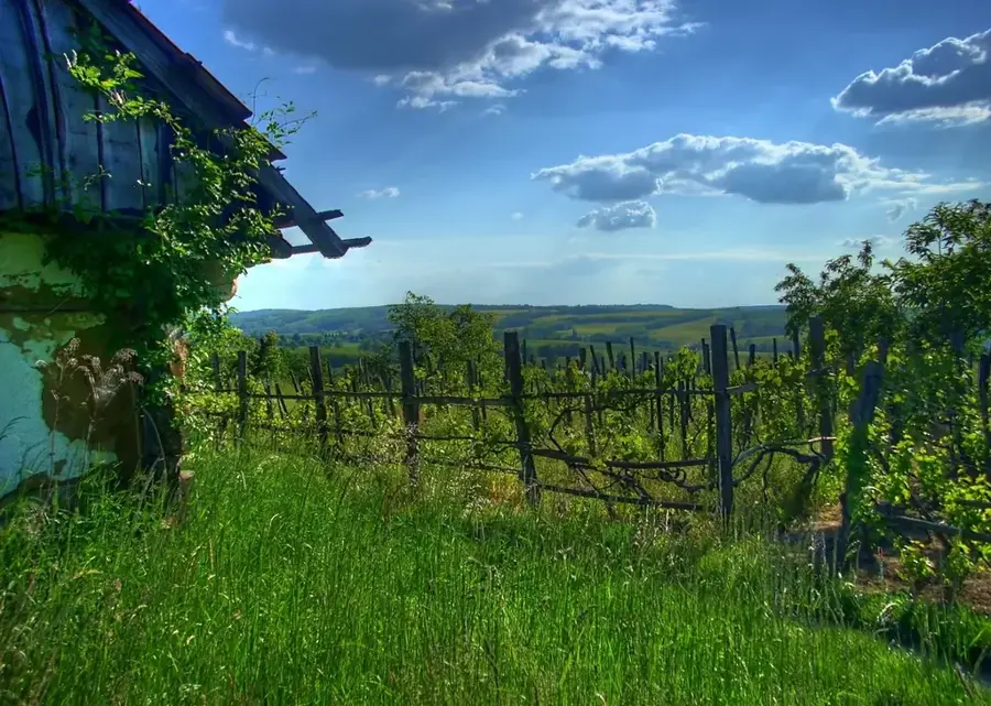 Zalacsányi-tó — Zalakaros (Magyarország)