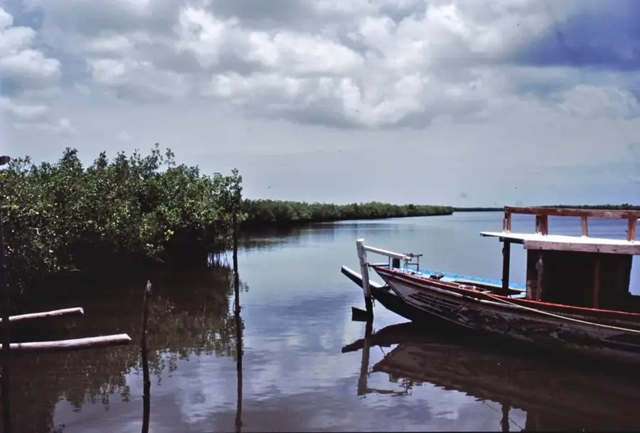 Lamin Lodge & Mangroven — Tallinding (Gambia)