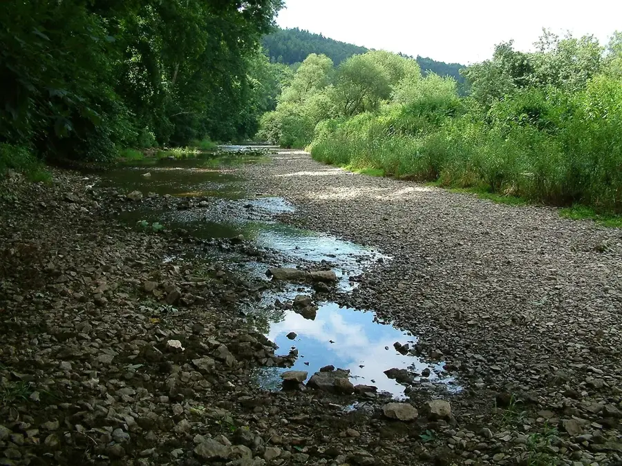 Donauversickerung (Deutschland)