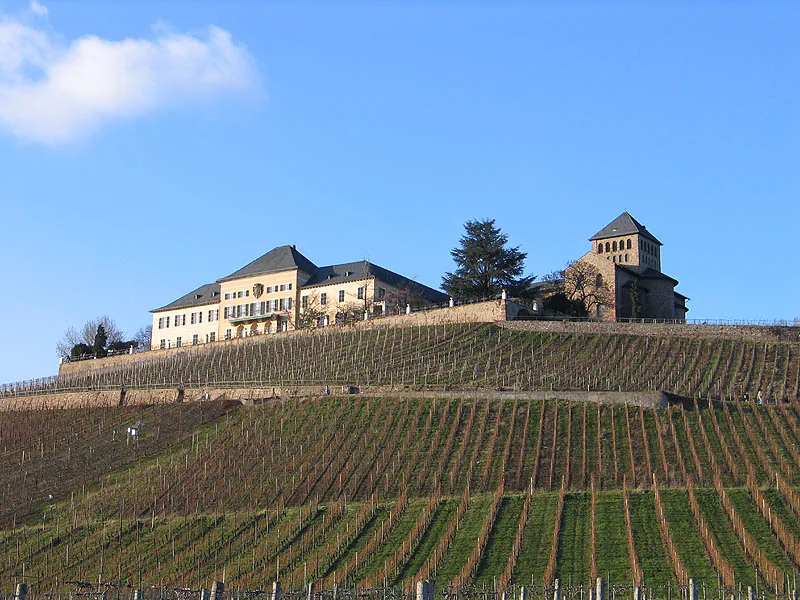 Rheingau – Sehenswürdigkeit