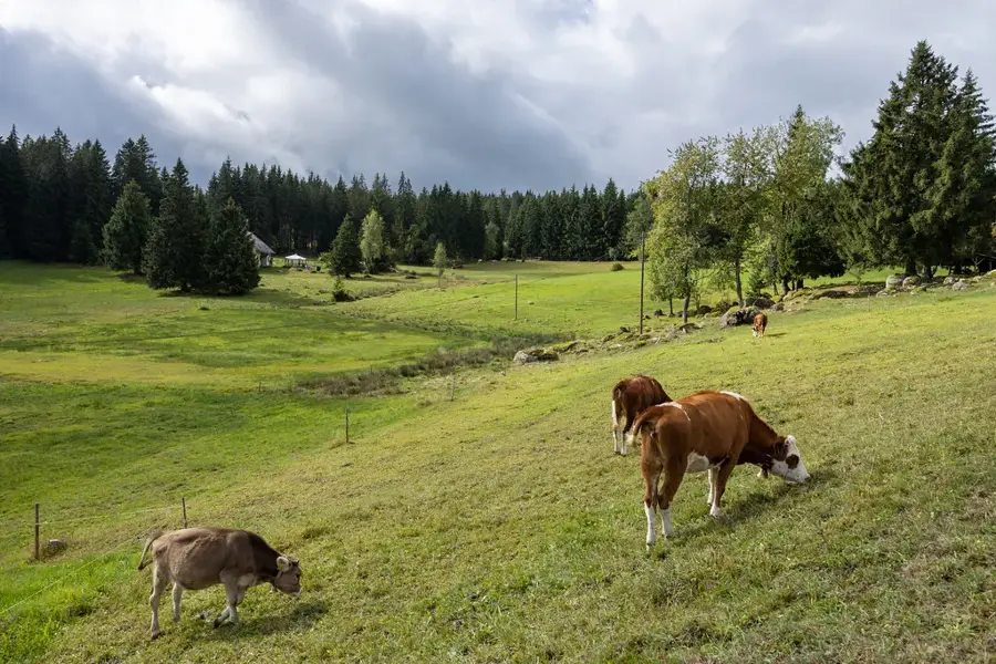 Triberger Wasserfälle (Deutschland)