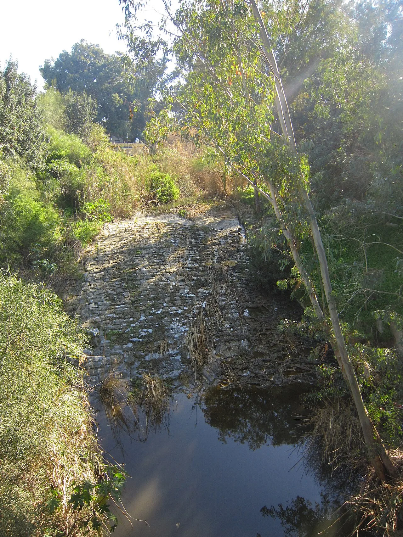 Machairas-Wald — Riverland Bio Farm (Zypern)