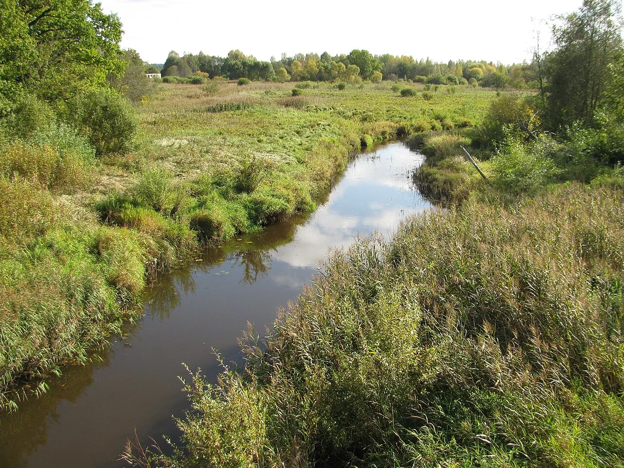 Dealul Alksne