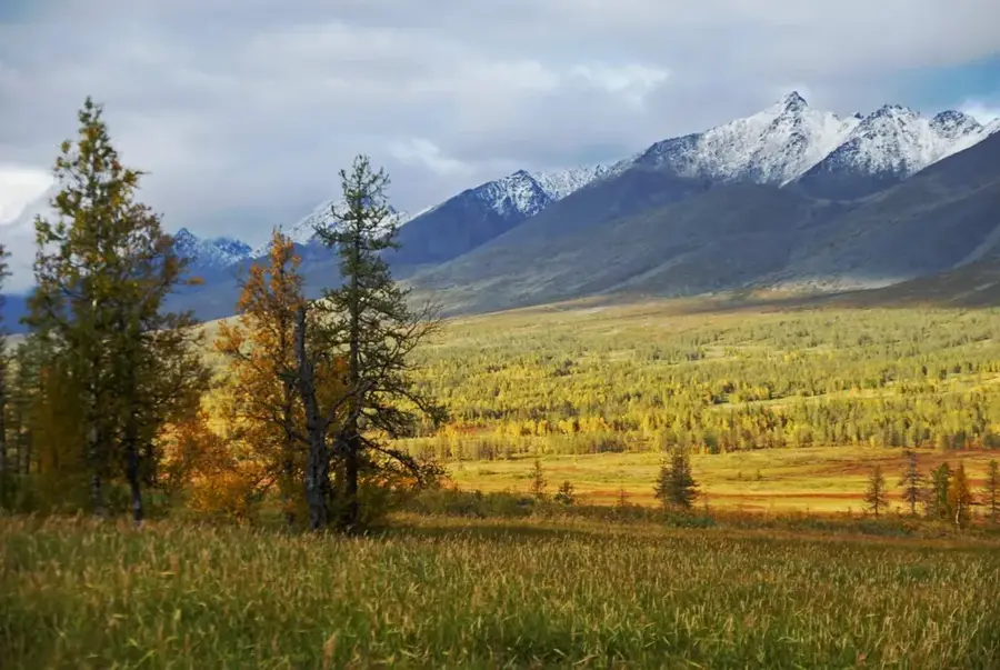Daugava Bend Ridge — Hara Forests (Iran)