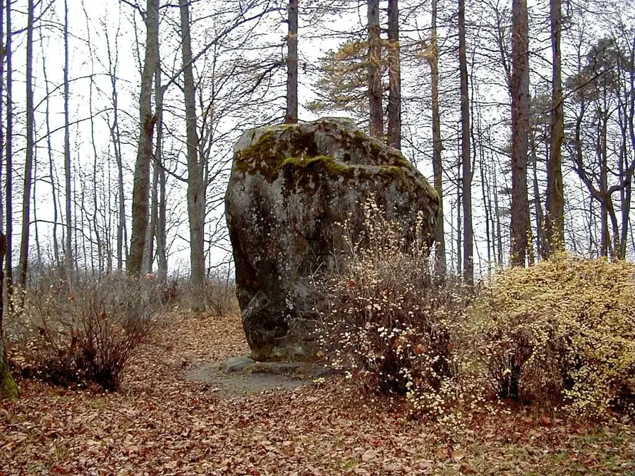 Ezere-Rücken