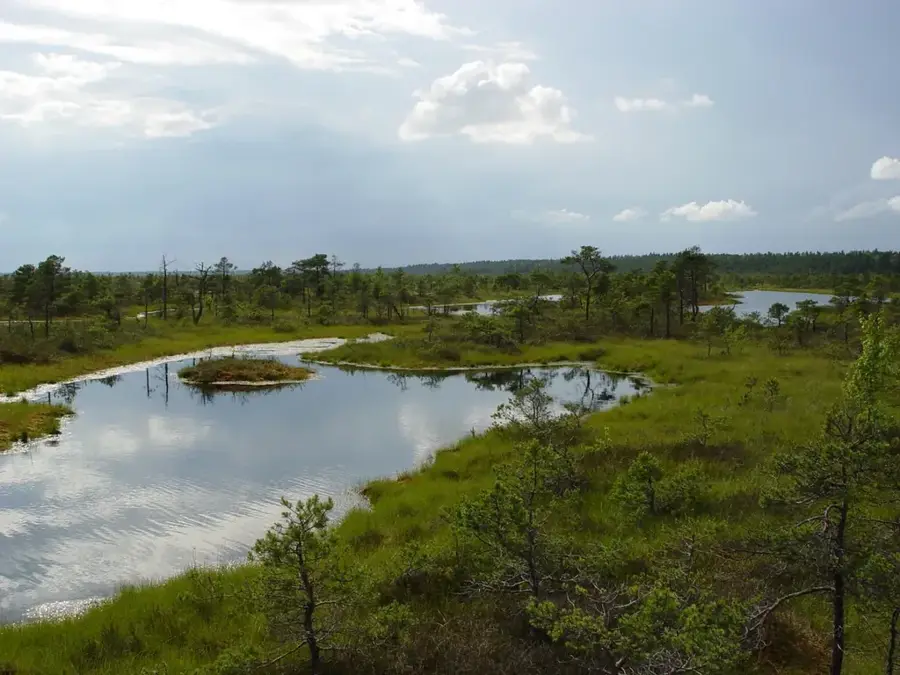 Kemeri Hochmoor
