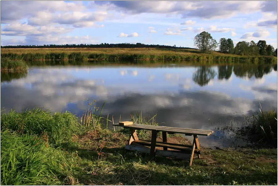 Laidi-Rücken