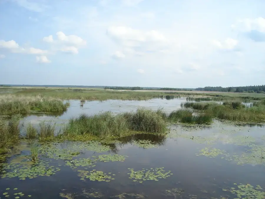Pape See (Lettland)
