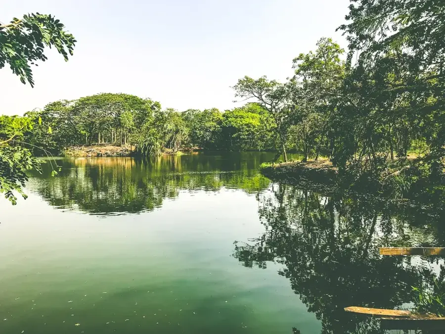 Legon Botanical Gardens — Cargill Cocoa Processing (Ghana)
