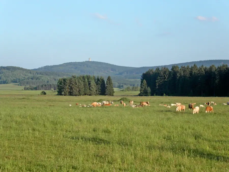 Felső-vár romjai — Nendeln (Liechtenstein)