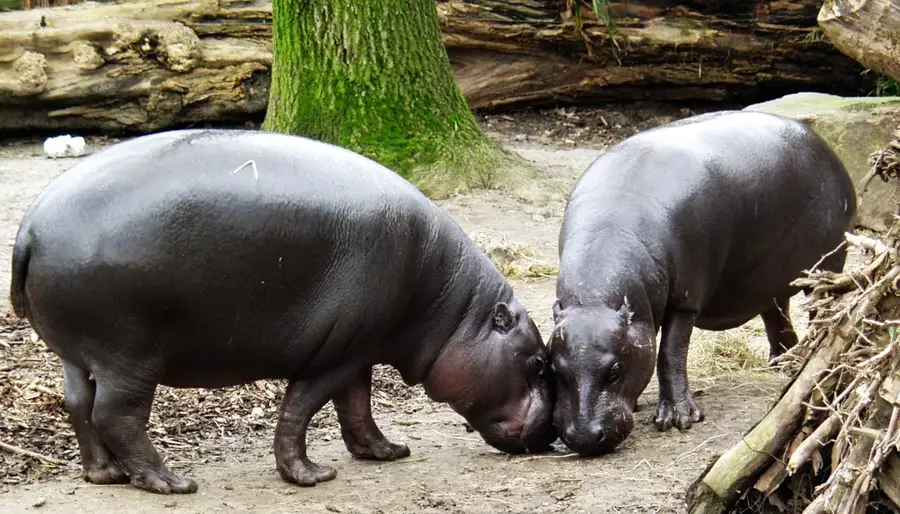 Sapo National Park