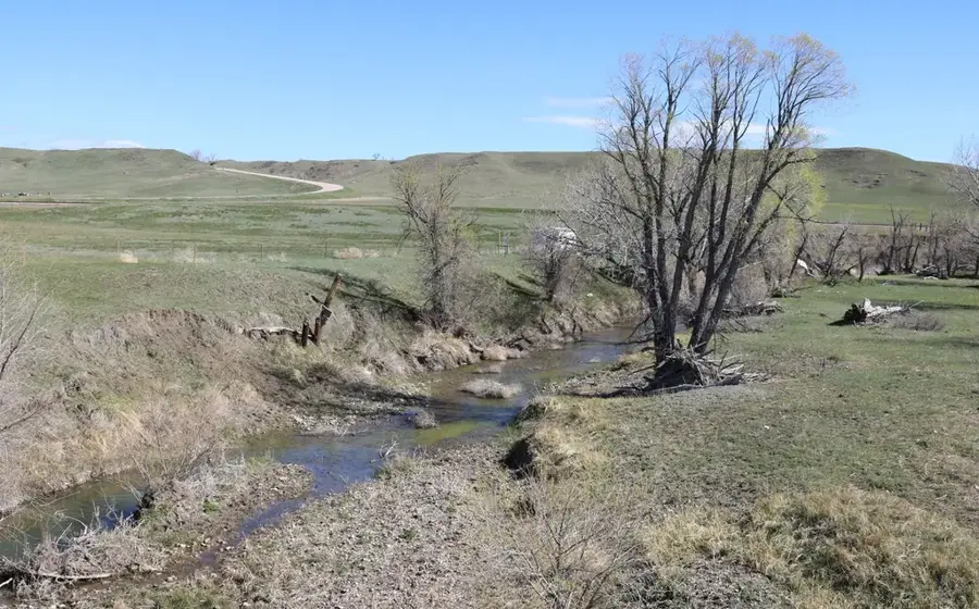 St. Paul Tributary