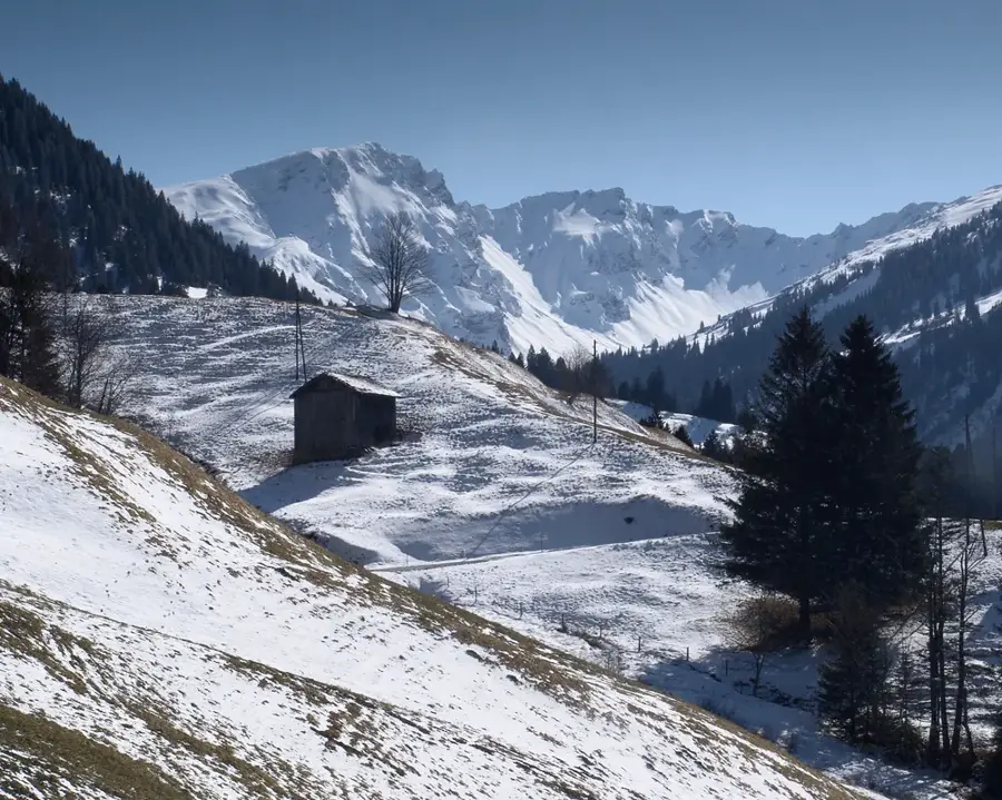 Hochwang — Gutenberg-Quartier (Liechtenstein)