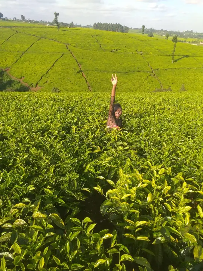 Limuru