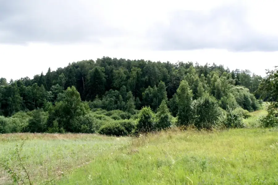 Parcul Regional Dubysa