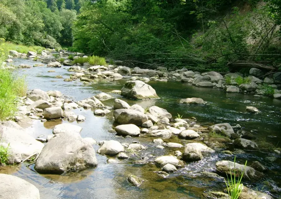 Parcul Regional Pagramantis