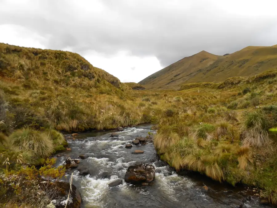 Llanganates-Nationalpark — Ambato (Ecuador)