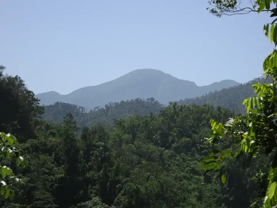 Loma del Gato — Campechuela (Cuba)