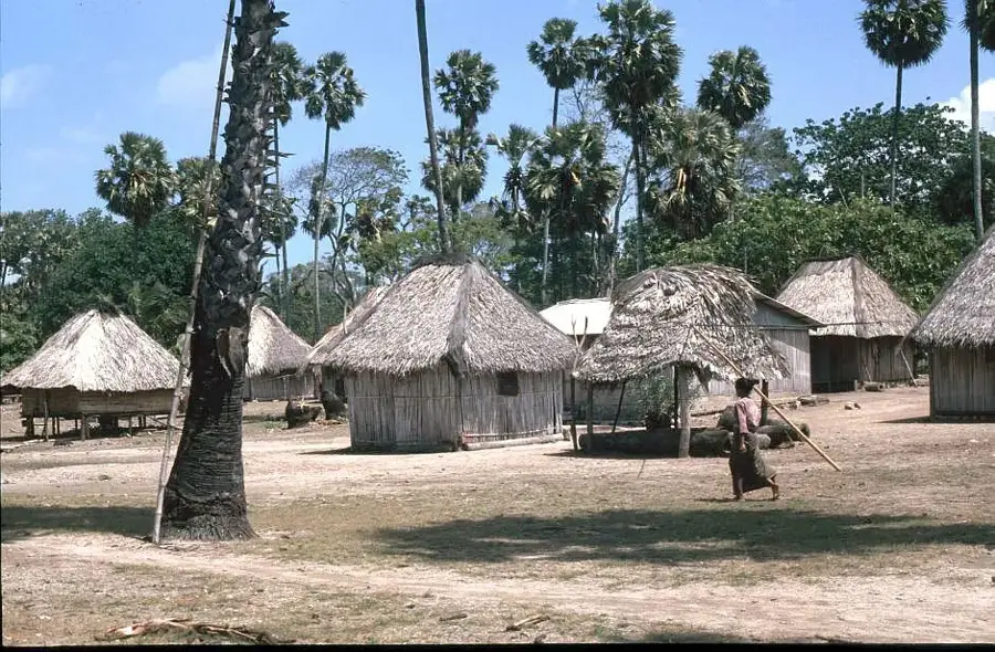 Lore-Naturreservat — Iliomar (Timor-Leste)