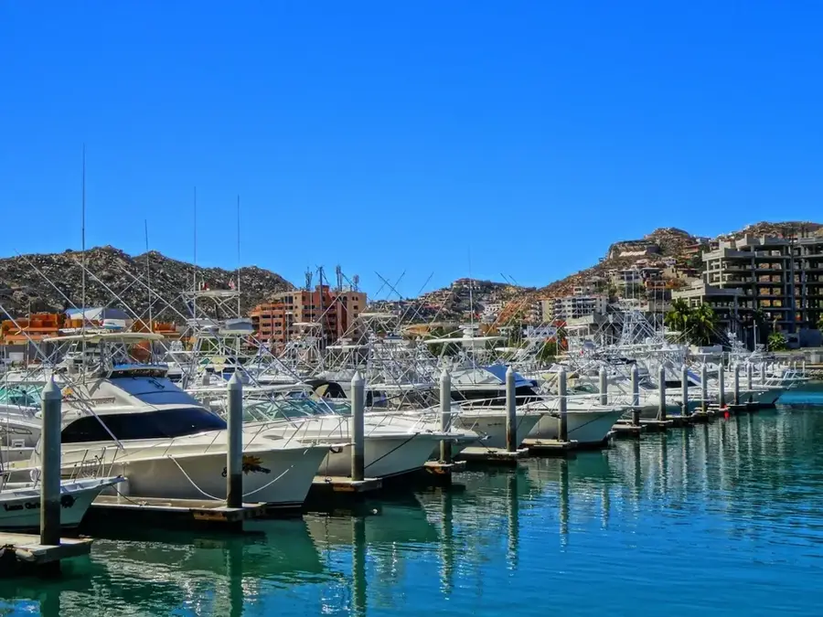Los Cabos — El Vizcaino (Mexiko)