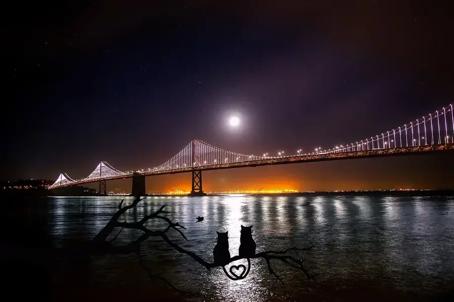 Lovely Bay