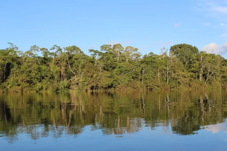 Kongobecken-Tieflandregenwald — Ruki (Kongo-Kinshasa)