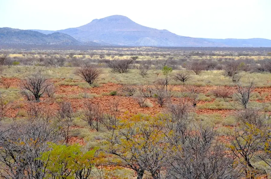 Lowveld-Ebene