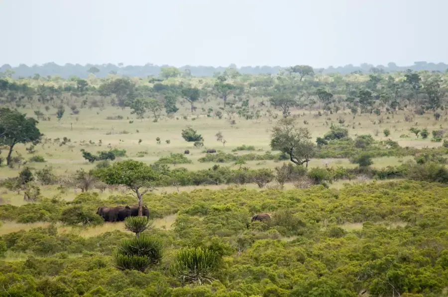 Lowveld — Ermelo (Südafrika)