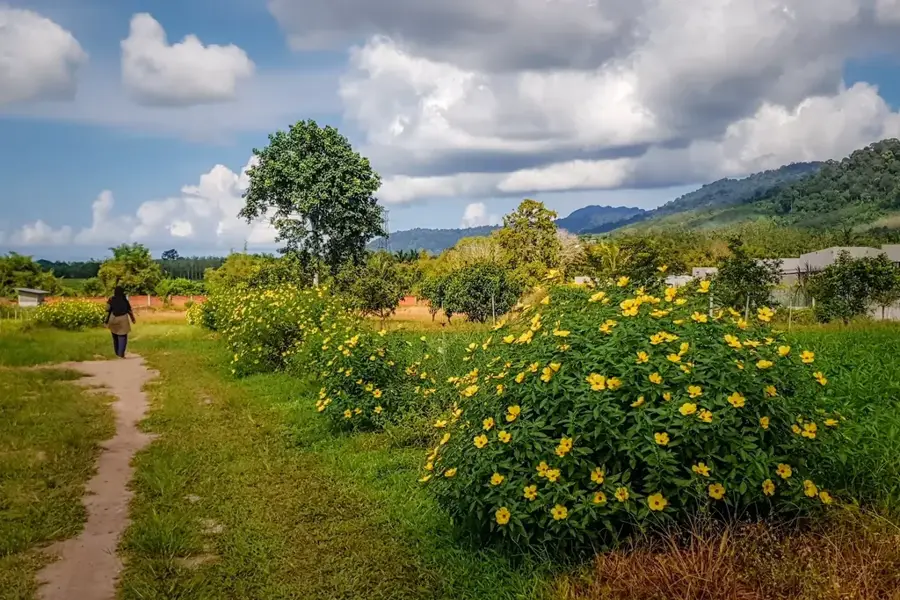 Luahan Agropark — Jerudong (Brunei)