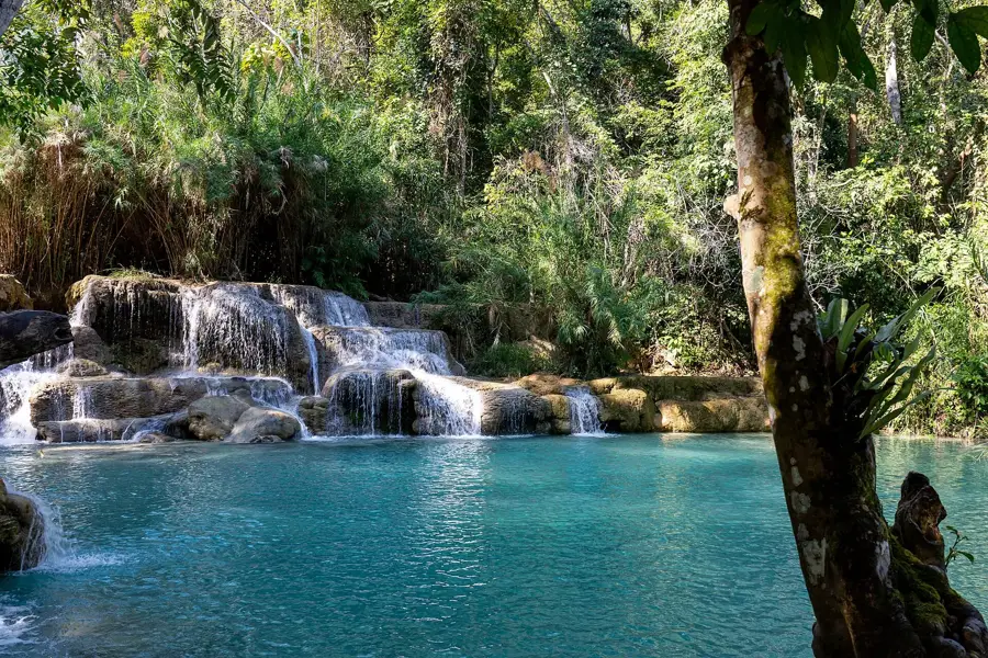 Parcul de Fluturi Luang Prabang