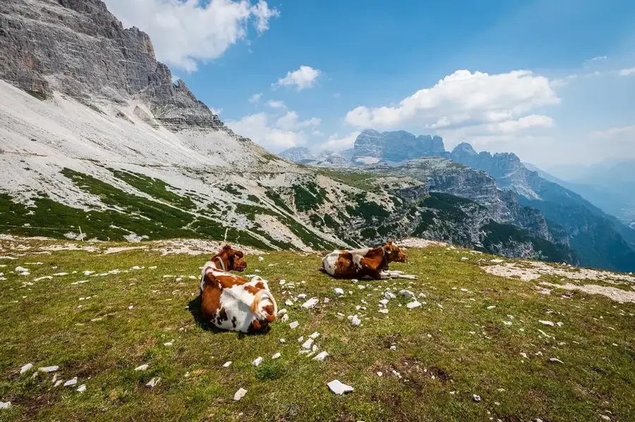 Lufira Valley Cattle Ranching