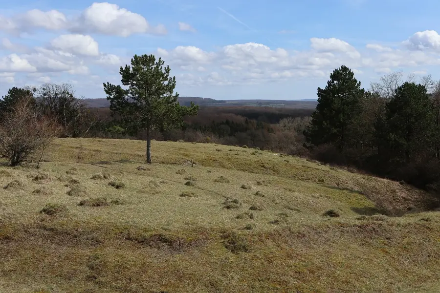 Aarnescht Nature Reserve — Junglinster (Luxembourg)