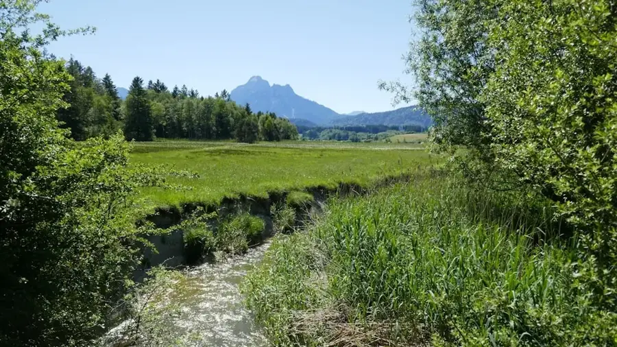 Am Groussebësch Nature Reserve — Junglinster (Luxembourg)
