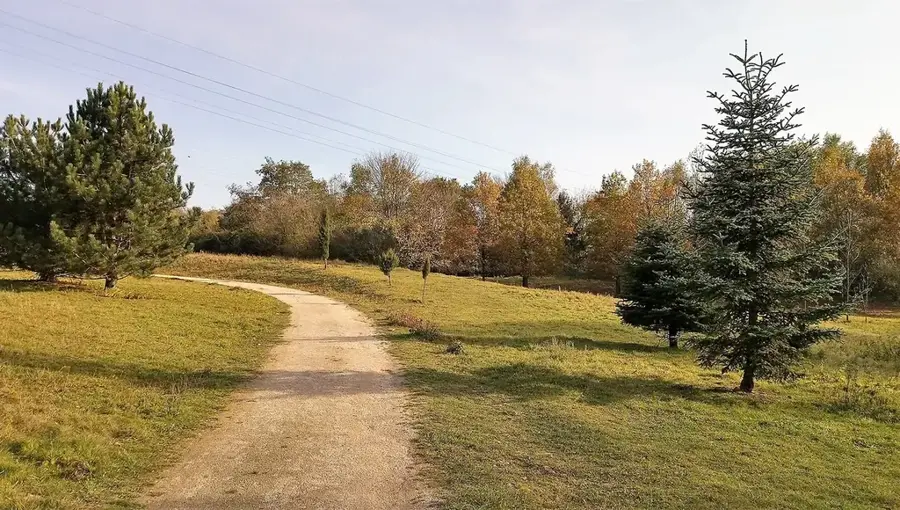 Arboretum Kirchberg — Walferdange (Luxembourg)