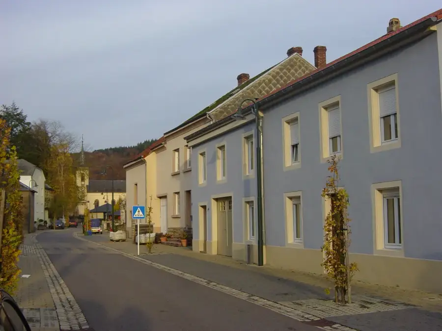 Sauer-Aue bei Born
