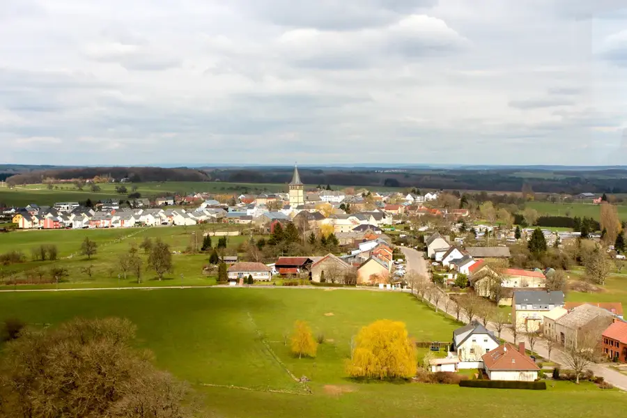 Goldkaul