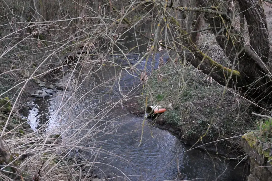 Hierberbësch Nature Reserve — Born Sûre Valley (Luxembourg)