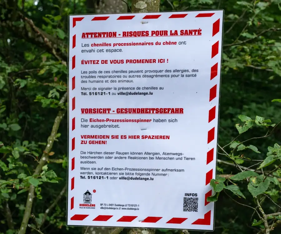 Husky fröccsöntő rendszerek