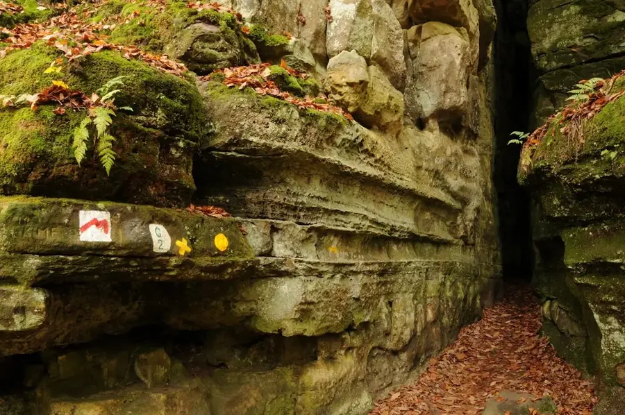 Kohlscheuer — Junglinster (Luxembourg)