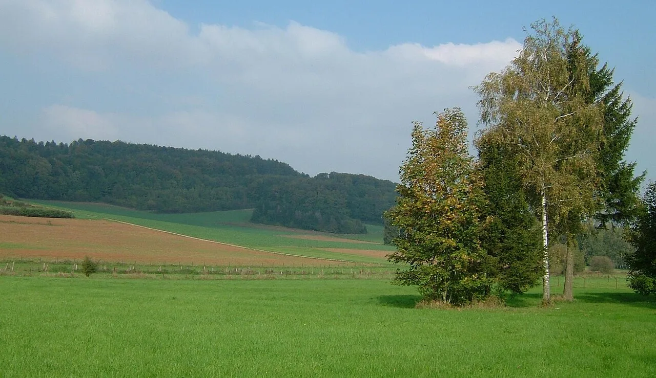 Naturschutzgebiet Tuebebierg