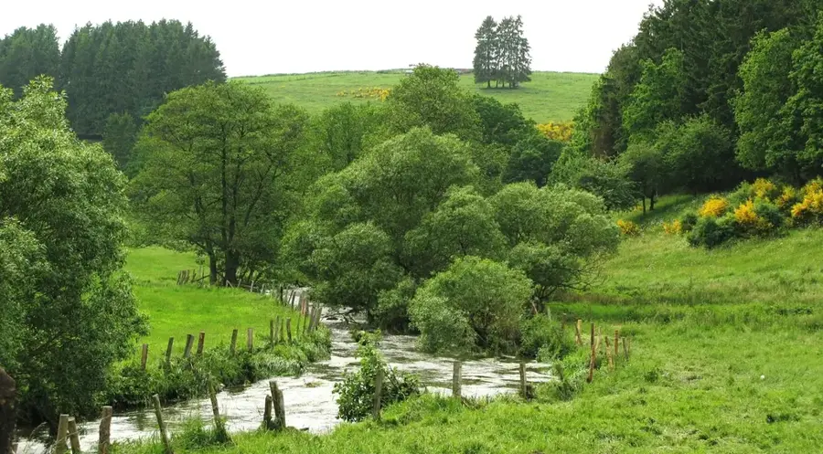 Wiltz River — Lake Upper Sûre (Luxembourg)