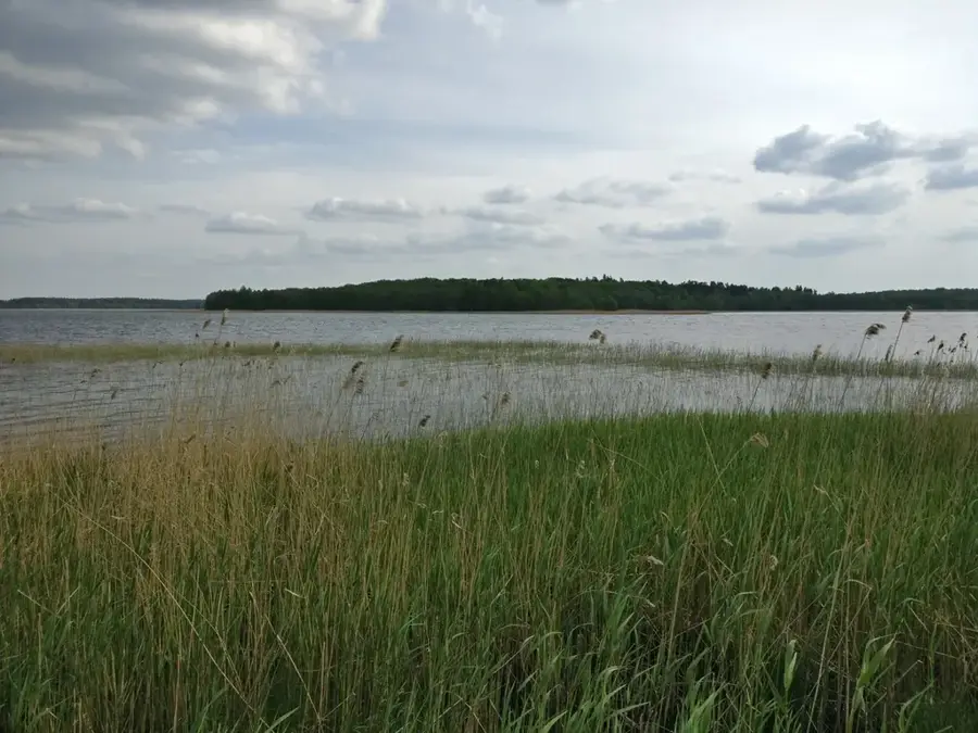 Moricsala