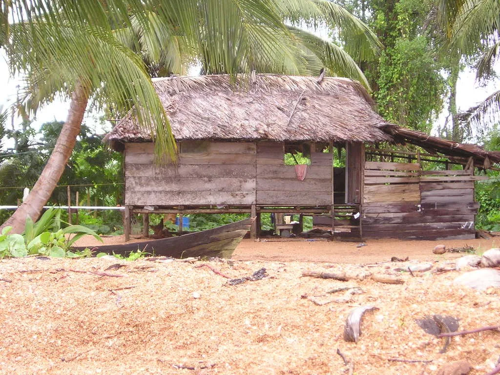 Proiectul de Cacao Mabaruma — Matthews Ridge (Guyana)