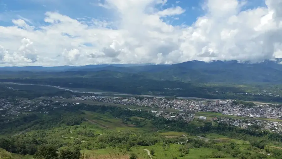 Macas — Frutadeli Pineapple Export (Ecuador)