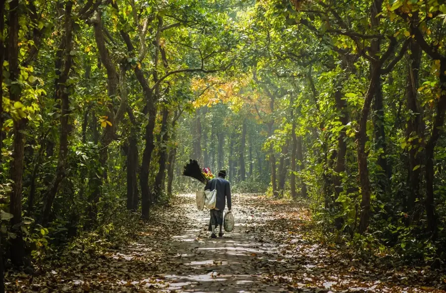 Madhupur Tract — Tangail (Bangladesch)