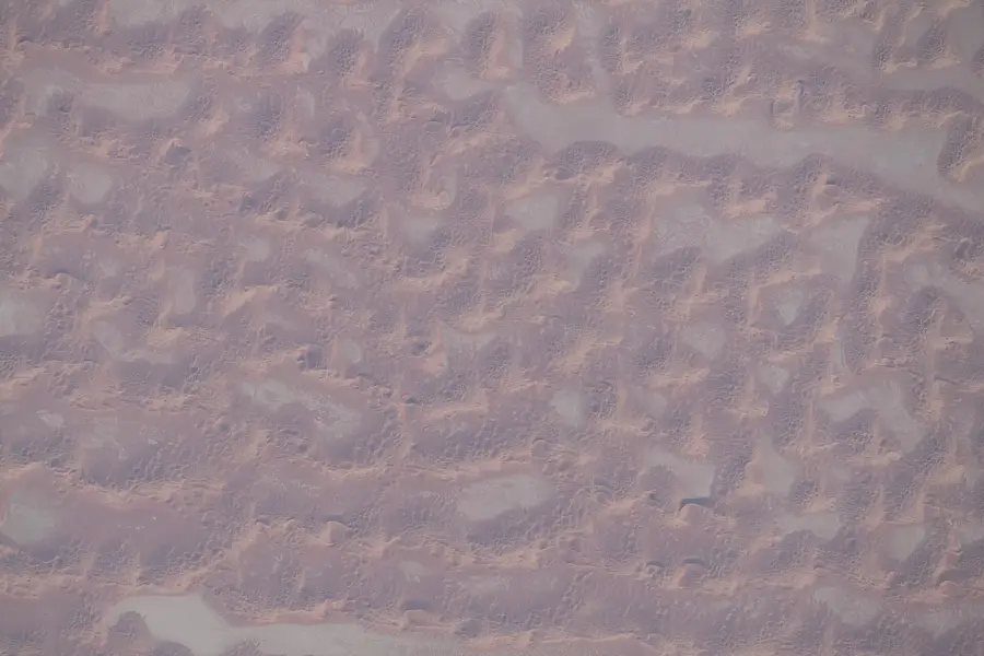 Mahra Camel Breeding — Port of Nishtun (Yemen)