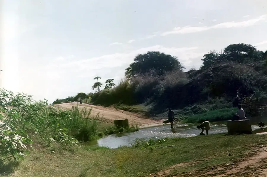 Elephant Marsh