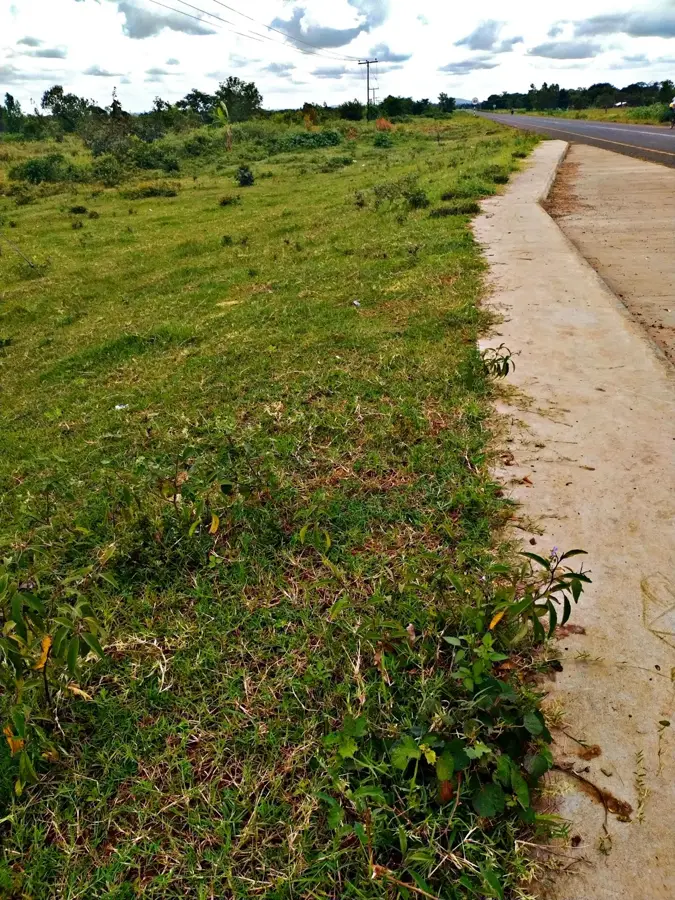 Kasungu — Altes Rathaus Blantyre (Malawi)